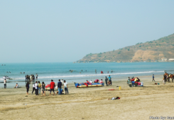 Shreevardhan